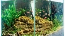 Как да приготвите водоснабдяване за аквариум
